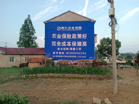 紫阳县墙体广告为何受追捧？