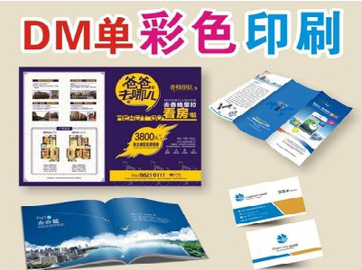 紫阳县单页印刷，色彩搭配简单。